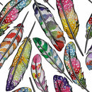 Colorful Feathers Wallpaper