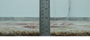 Colorful Ivory, Olive and Brown Floral Design Hand Tufted Custom Made wool Rug