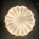 Contemporary cream petal led ceiling light for dining room