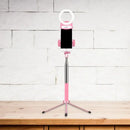 Contemporary pink phone holder with led ring light bedroom fixture