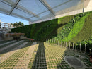 Sample Panel – Natural Boxwood Green Wall (Small Sample)