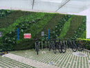 Sample Panel – Natural Boxwood Green Wall (Small Sample)