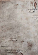 Forgotten Scroll Designer Printed AIDA Fabric. Canvas for embroidery with an applied background  KF-1168A