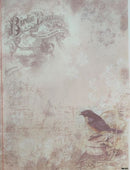 Birdsong Nostalgia Designer Printed AIDA Fabric. Canvas for embroidery with an applied background  KF-1311A