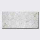 Coral Natural Ion Pavers 12x24