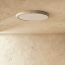 Coriac Ceiling Light