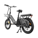 Coswheel HQ20 48V/20AH 1300W Electric All-Terrain Cargo Bike (SAK41597)