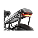 Coswheel HQ20 48V/20AH 1300W Electric All-Terrain Cargo Bike (SAK41597)