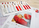 Counted Cross Stitch Kit Christmas hugs L8019