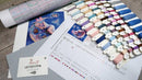 Counted Cross Stitch Kit Evening Dreams Leti995