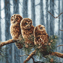 Counted Cross Stitch Kit Owls family Leti946