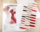 Counted Cross Stitch Kit The Dance of Spain L8024