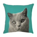 Cream cute cat face decorative cushion cover living room pillow