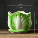 Creative green & white ceramic cabbage flowerpot – indoor garden basin