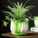 Creative green & white ceramic cabbage flowerpot – indoor garden basin