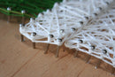 Creative Kit/String Art Cactus ABC-002