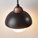 Crone Pendant Light