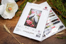 Guests of Spring Storks Counted Cross Stitch Kit by Luca-S BU5042L