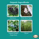 Children's Respiratory Support Herbal Tincture with Elderberry 1 oz