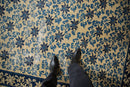 6x8 Antique Peking Carpet