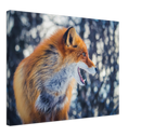 Curious Fox - Print