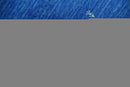 Custom Made Blue and Ivory Stripes Design Hand loom wool Area Rug
