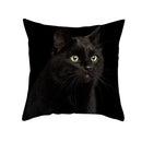 Cute black cat pillowcases bedroom animal print cushion covers