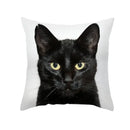 Cute black cat pillowcases bedroom animal print cushion covers