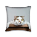 Cute cat anime pillow case – bedroom and living room square cushion
