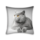 Cute cat anime pillow case – bedroom and living room square cushion