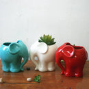 Cute white elephant succulent planter bedroom ceramic flowerpot