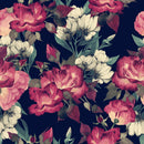 Dark Roses Wallpaper