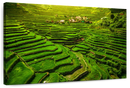 Historic Ifugao Rice Terraces Wall Art