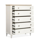 Echo Isles - Drawer Chest - Sea Pearl And Driftwood