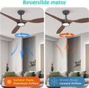 52 Inch Black Ceiling Fan With Lights And Remote Control