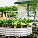 Heavy Duty Galvanized Raised Garden Bed Kit for Vegetables, Flowers & Herbs, Rust-Resistant, Easy Assembly, 8x4x1ft, Silver