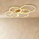 Roshan Ceiling Light