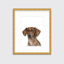 The Dachshund - Open Edition Paper Print
