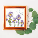 Damsels and Dragons Counted Cross Stitch Kit by Bothy Threads XHD97