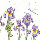Damsels and Dragons Counted Cross Stitch Kit by Bothy Threads XHD97
