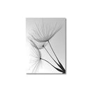 Dandelion Canvas Wall Art Black White