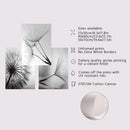 Dandelion Canvas Wall Art Black White