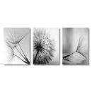 Dandelion Canvas Wall Art Black White