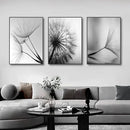 Dandelion Canvas Wall Art Black White