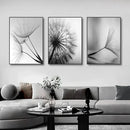 Dandelion Canvas Wall Art Black White