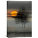 Dawn Over the Branches Canvas
