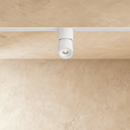 Dawn Track Light System