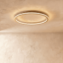 Dayira Ceiling Light