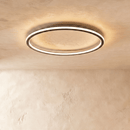 Dayira Ceiling Light