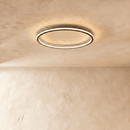 Dayira Ceiling Light